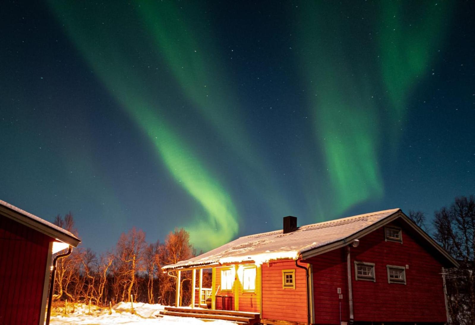 Trivelig Hytte I Senja. Exterior foto