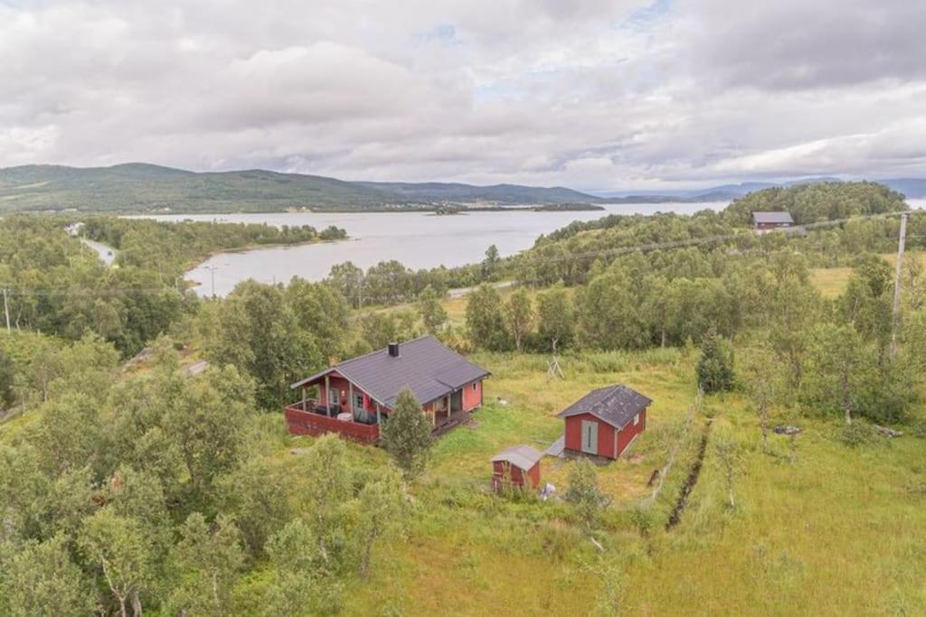 Trivelig Hytte I Senja. Exterior foto