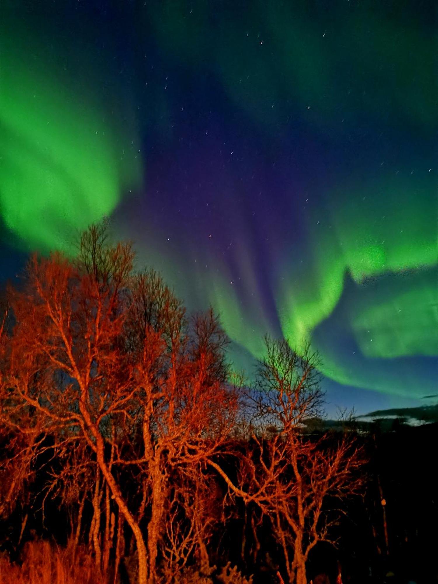 Trivelig Hytte I Senja. Exterior foto